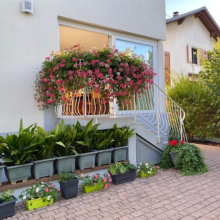 Appartement Le Jardin Линголшем Экстерьер фото